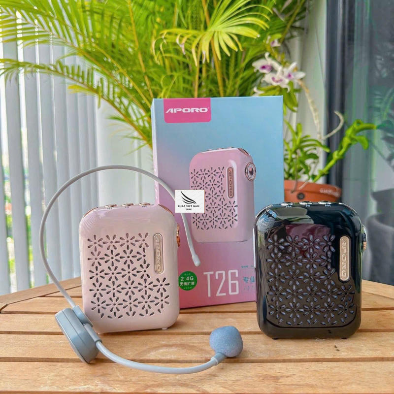 Loa trợ giảng tp HCM