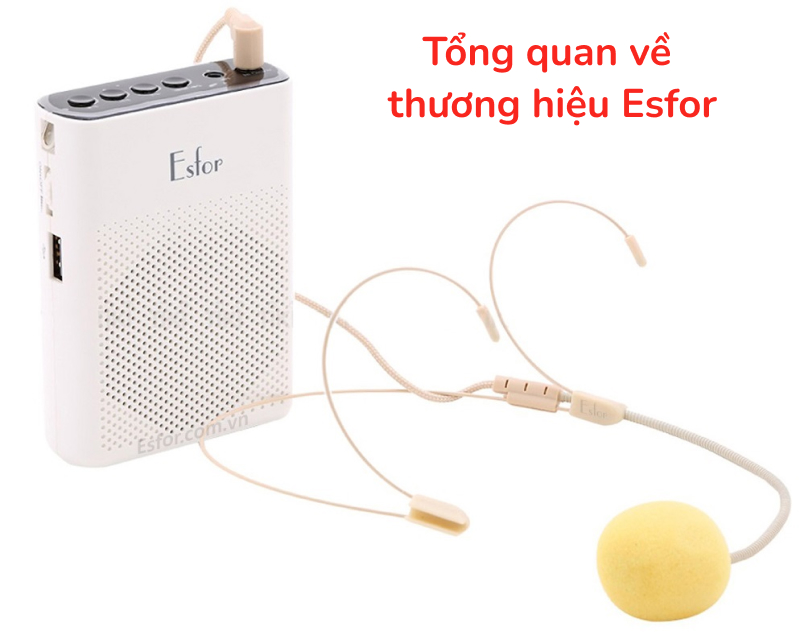Tổng quan về thương hiệu Esfor